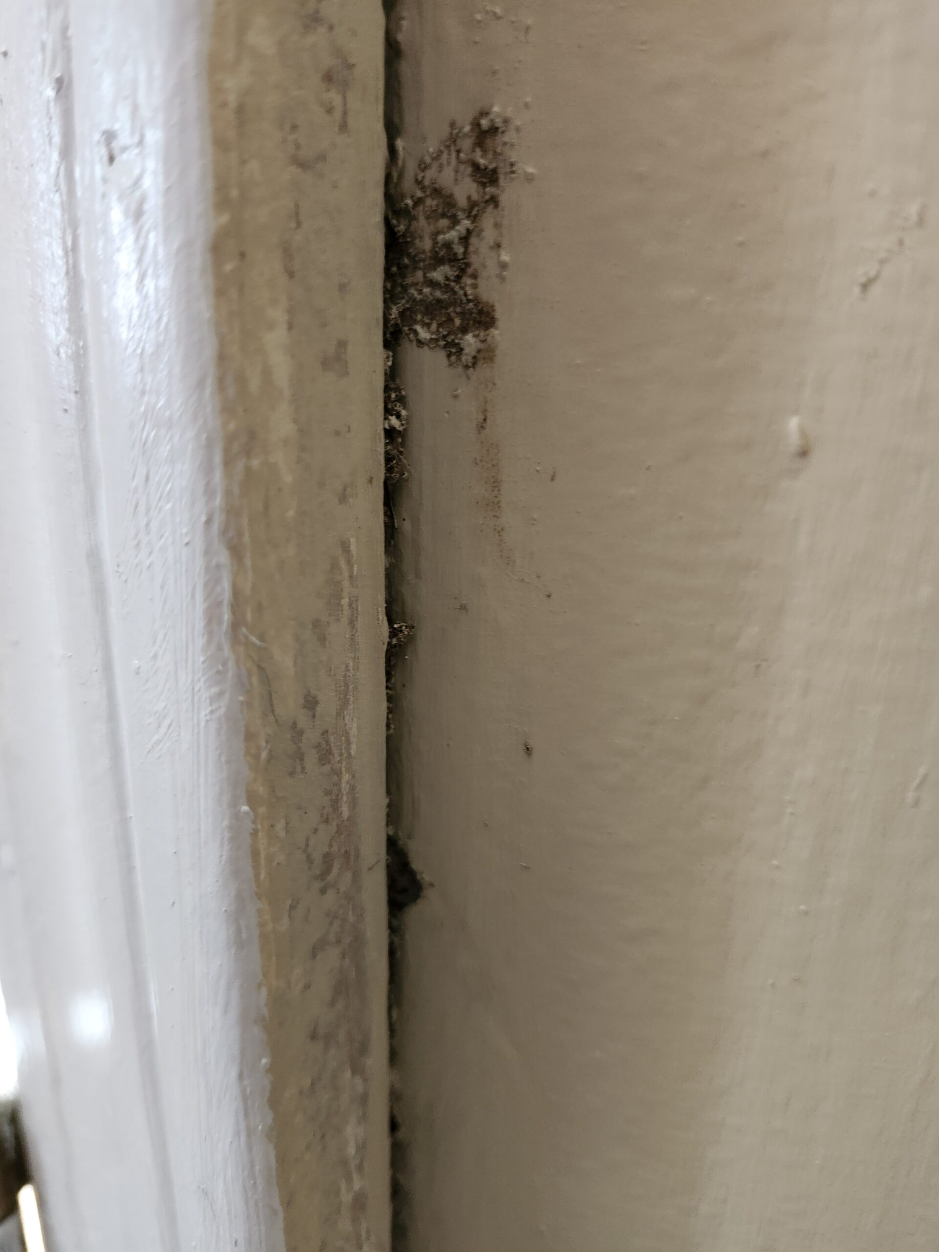Termite treatment wichita, ks